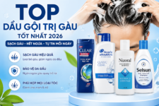 🧴 Top dầu gội trị gàu tốt nhất 2026 – Sạch gàu, hết ngứa chỉ sau vài lần gội